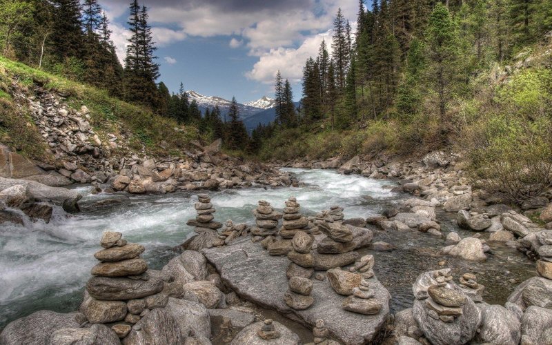 Горная река камни лес