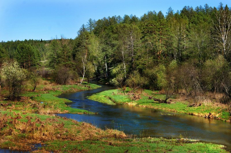 Весна лес река