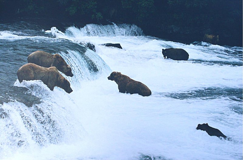 Водопад брукс аляска