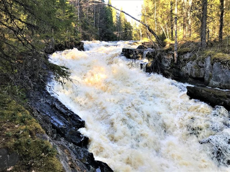 Водопад прокинкоски карелия