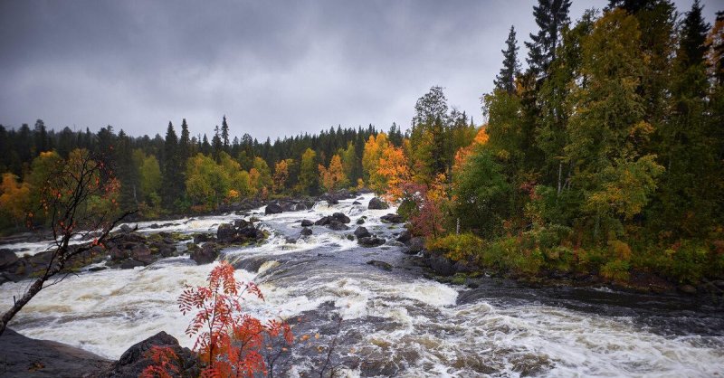 Водопад киваккакоски в карелии