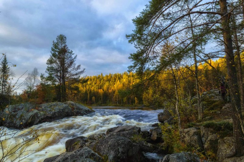 Водопад киваккакоски в карелии