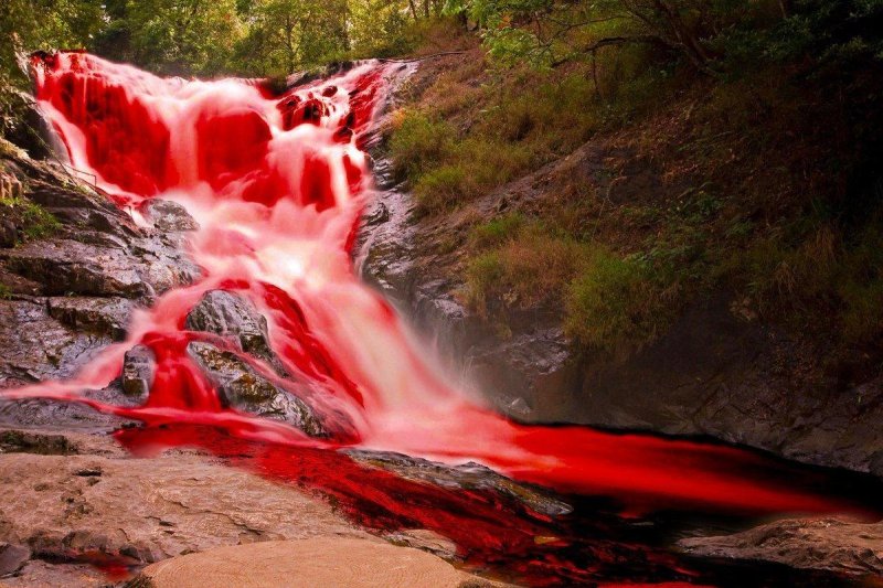 Алые водопады