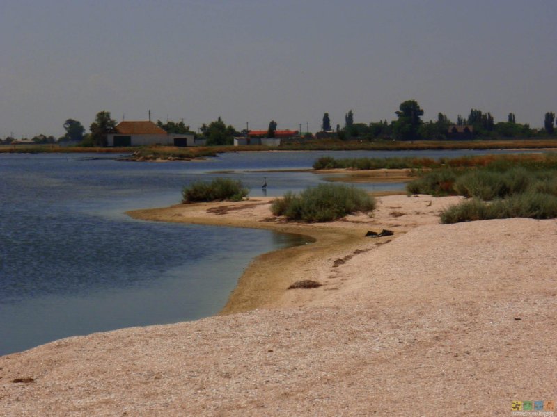 Крымский заповедник лебяжьи острова