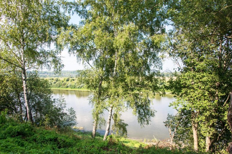 Таруса серебряный век пляж