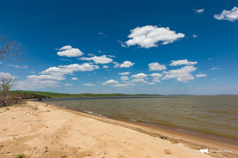 Пляж озера ханка