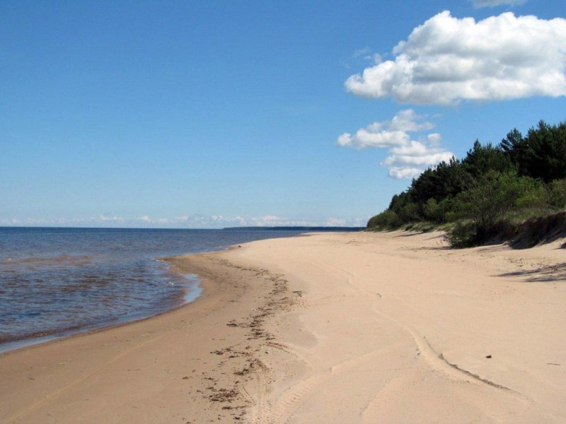 Ладога коккорево пляж