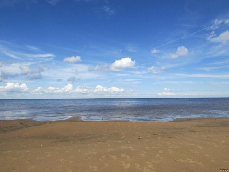 Милюшино рыбинское водохранилище пляж