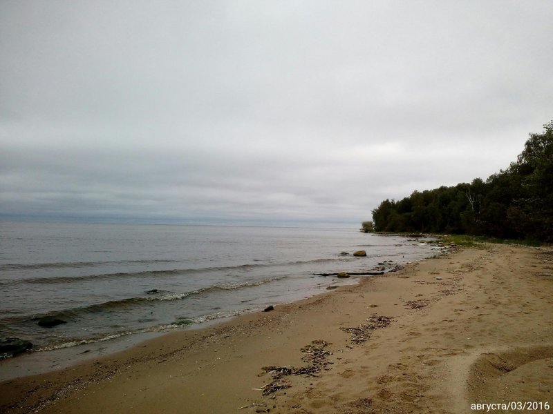 Милюшино рыбинское водохранилище пляж