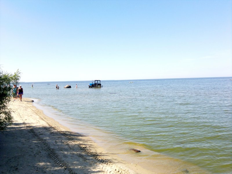 Милюшино рыбинское водохранилище пляж