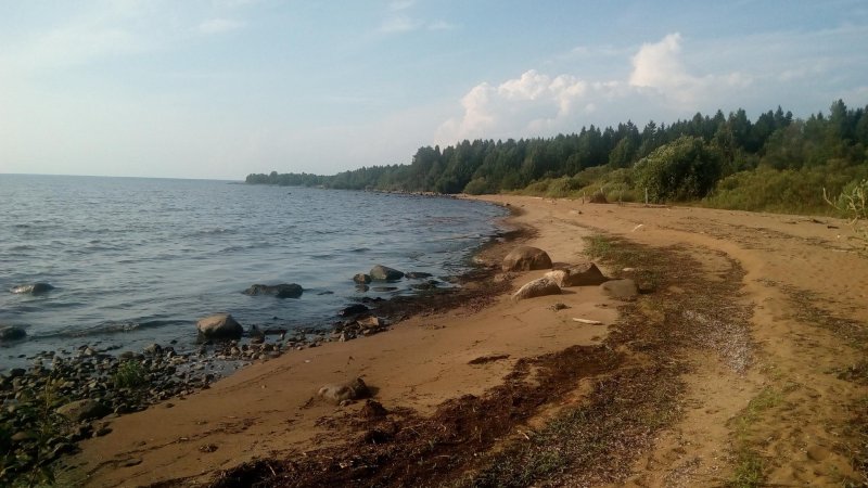 Милюшино рыбинское водохранилище пляж