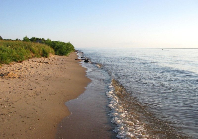 Милюшино рыбинское водохранилище пляж