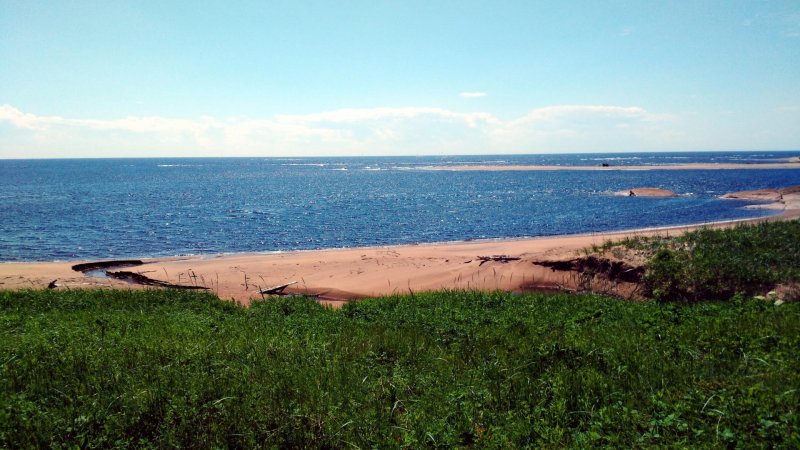 Милюшино рыбинское водохранилище пляж