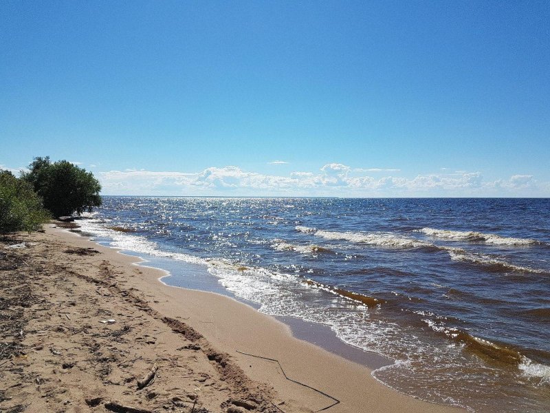 Милюшино рыбинское водохранилище пляж