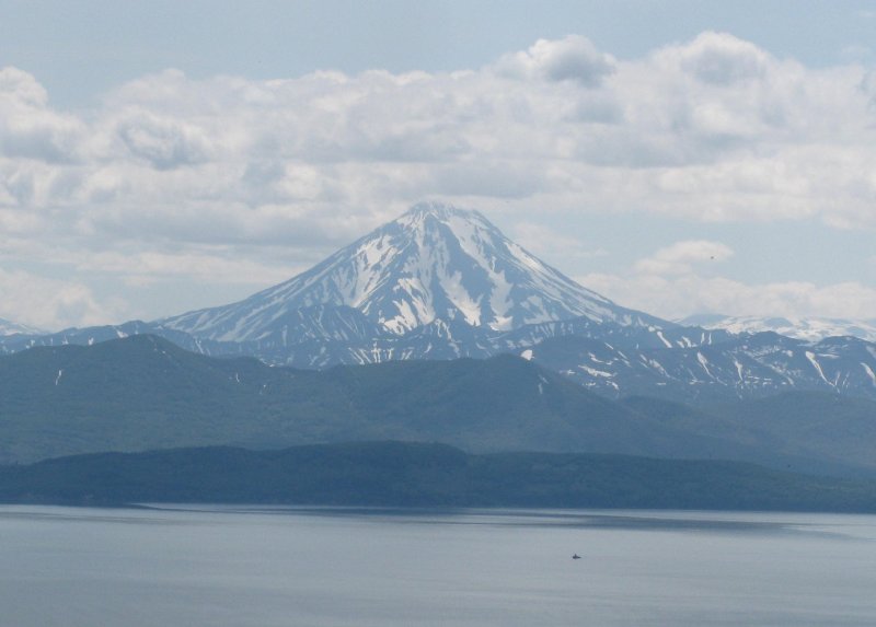 Бухта саранная камчатка