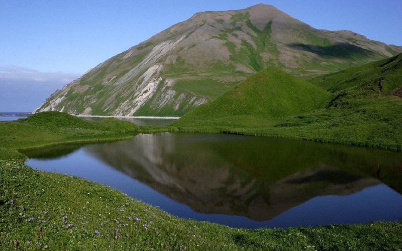 Бухта саранная камчатка