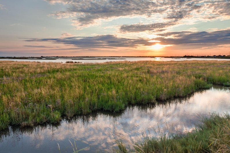 Водно болотистые угодья