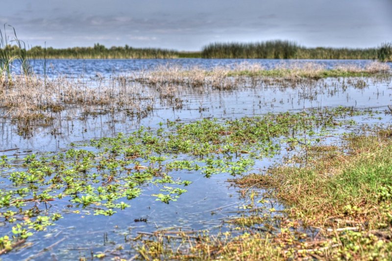 Водно болотистые угодья