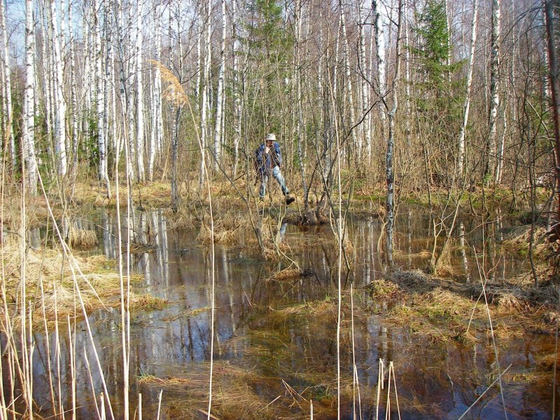 Попово болото сергиев посад