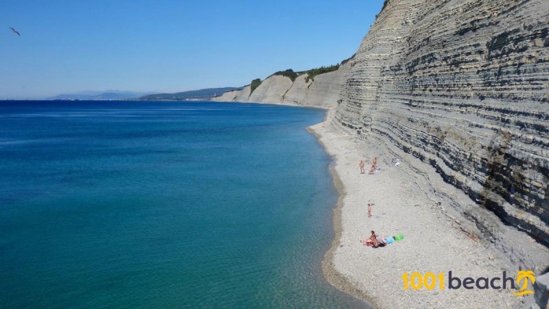 Геленджик голубая бухта сосновка