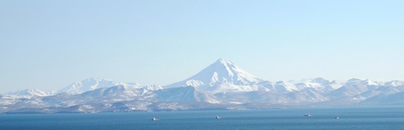 Бухта саранная камчатка