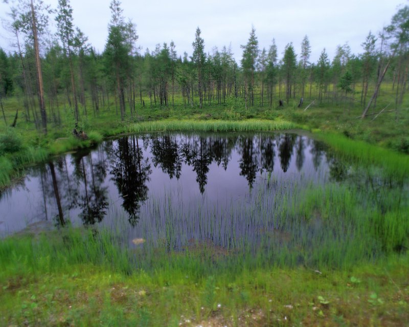 Водно болотистые угодья