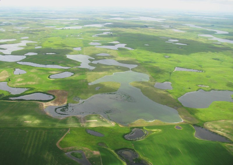 Водно болотистые угодья