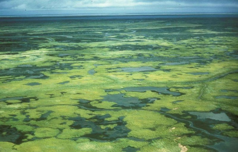 Водно болотистые угодья