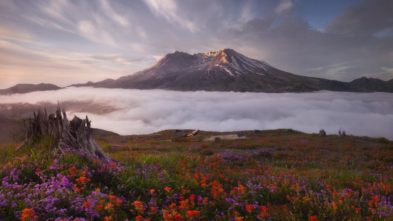 Гора сент хеленс