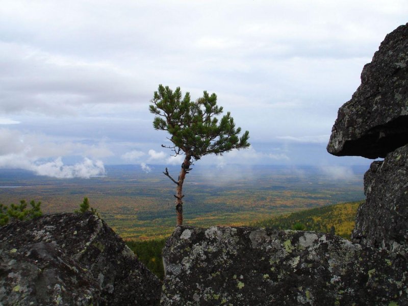 Гора кумба североуральск