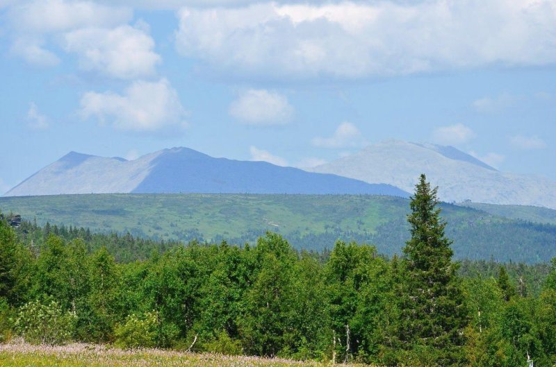 Гора тулымский камень