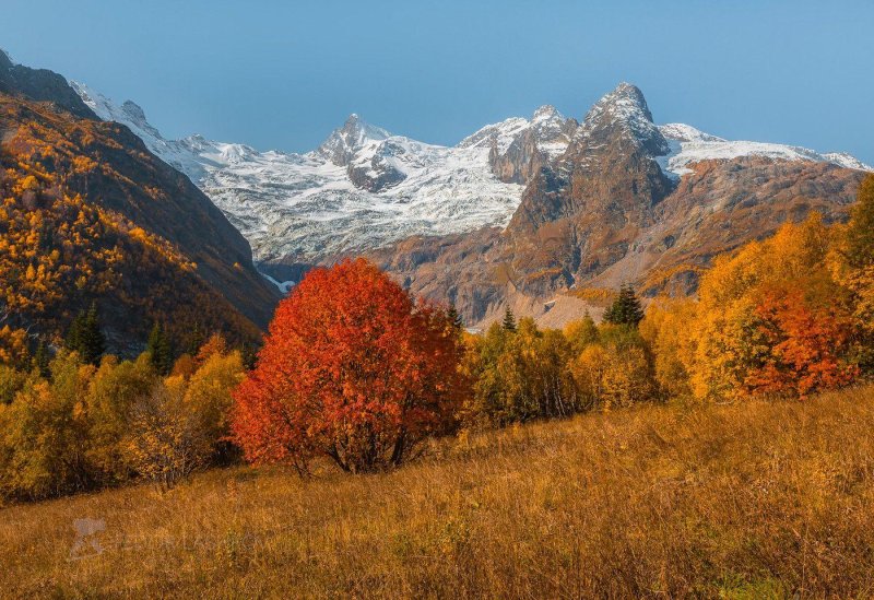 Осень в горах кавказа