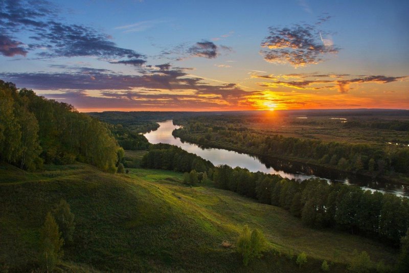 Лысая гора гороховец