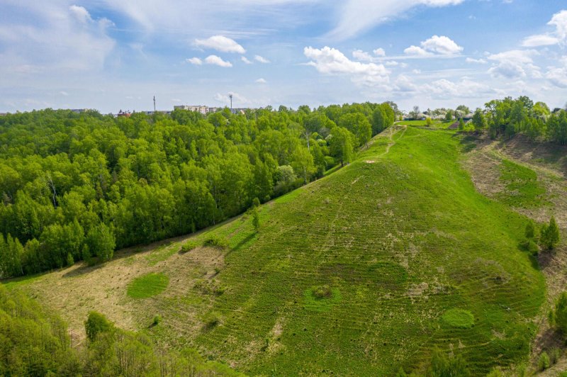 Лысая гора гороховец