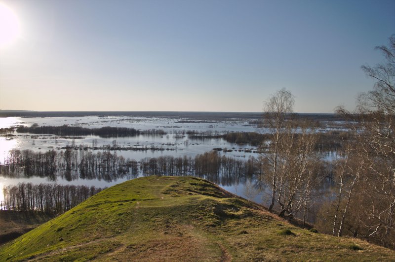 Лысая гора гороховец