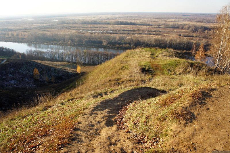 Лысая гора гороховец