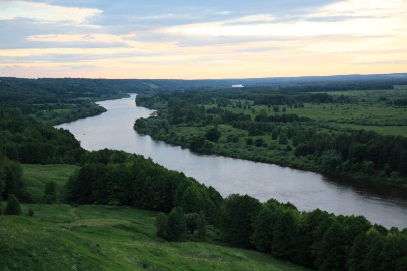 Лысая гора гороховец