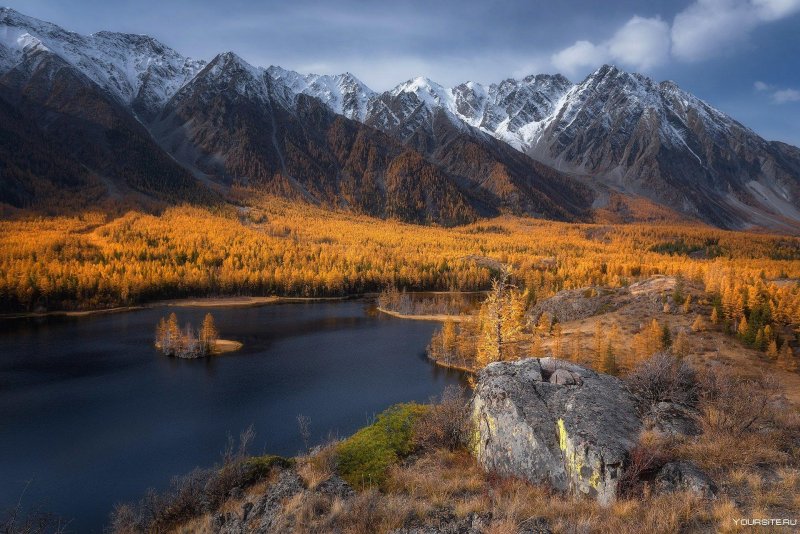 Золотые горы алтая заповедник