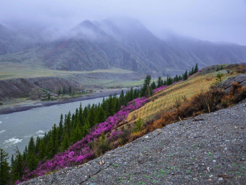 Горы алтайского края