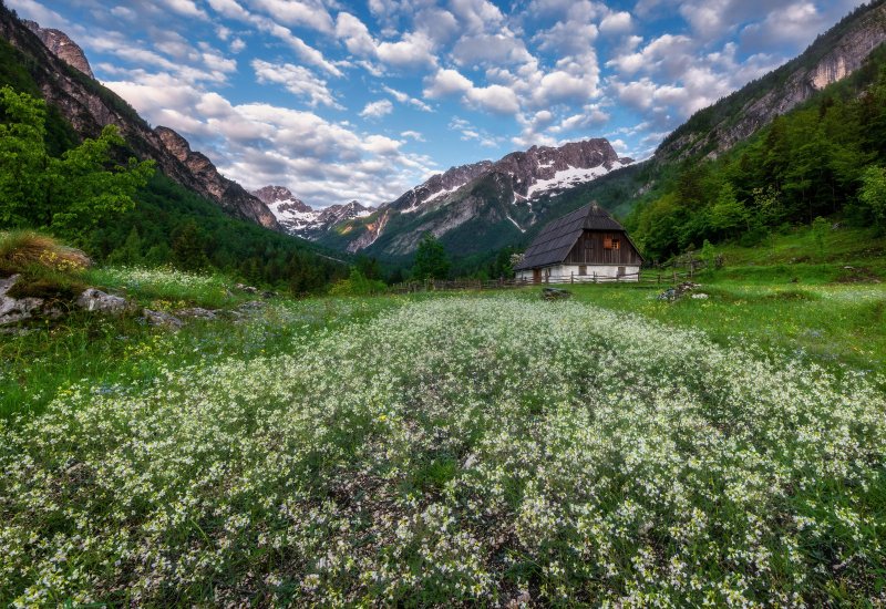 Альпийская гора