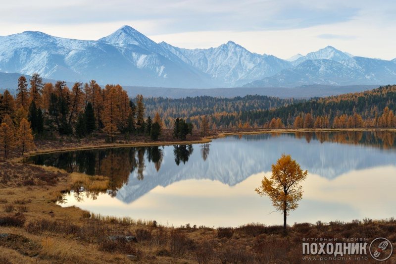 Улаганский перевал горный алтай