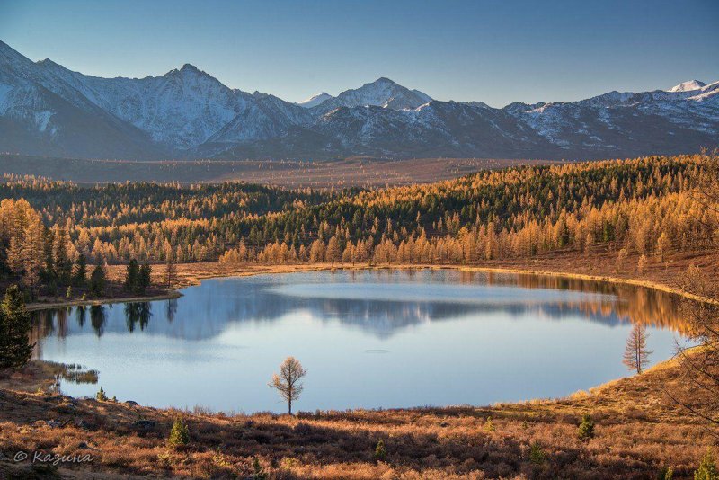 Улаганское плато горный алтай