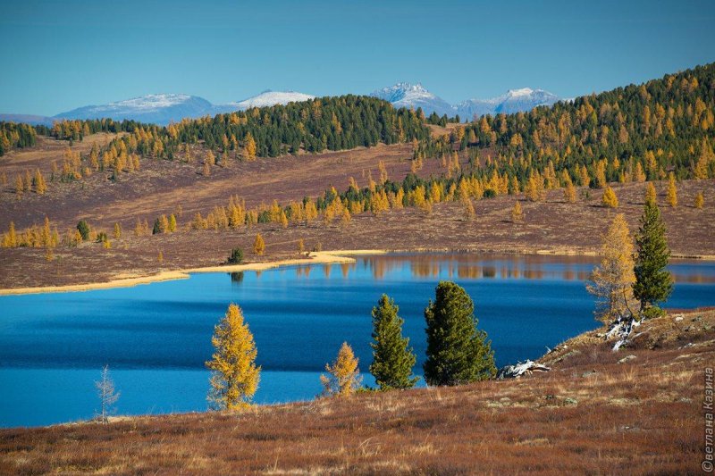 Улаганское плато горный алтай