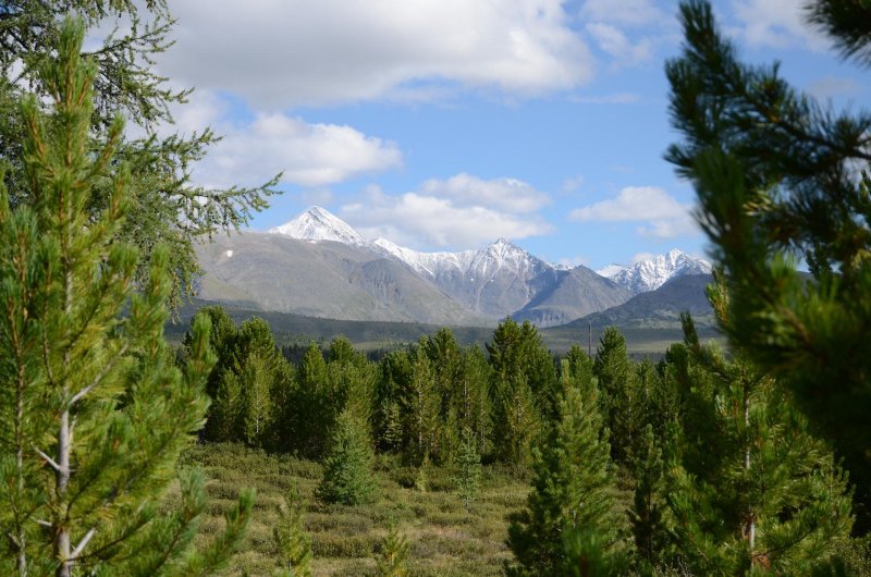 Улаганское плато горный алтай