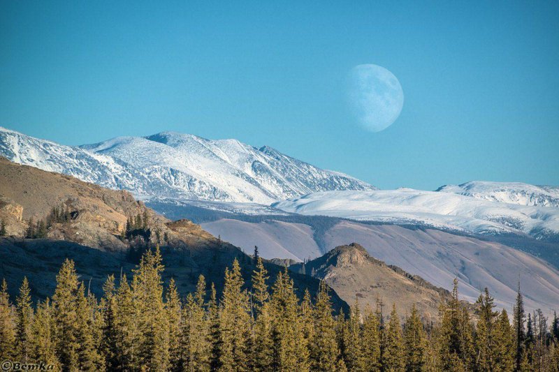 Алтайская луна горный алтай