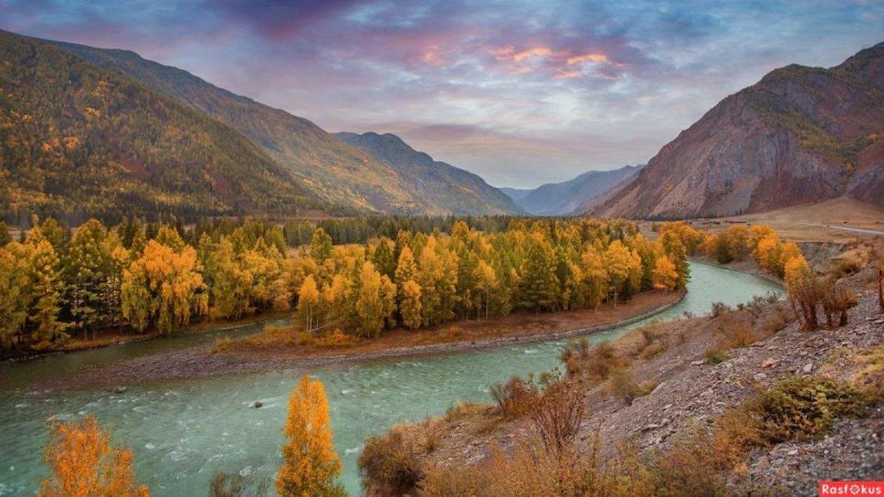 Золотая осень горный алтай