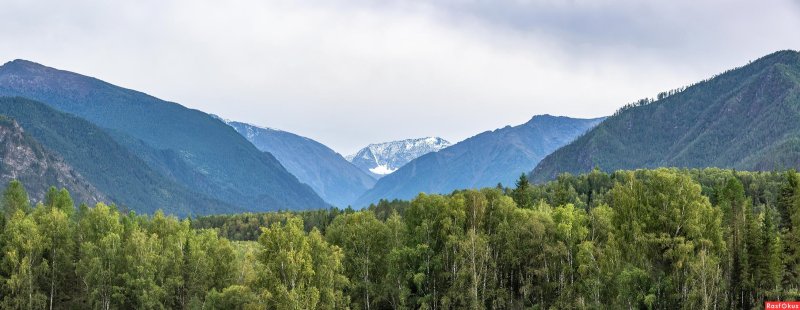 Катунский хребет горный алтай