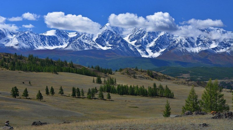 Горный алтай южно чуйский хребет