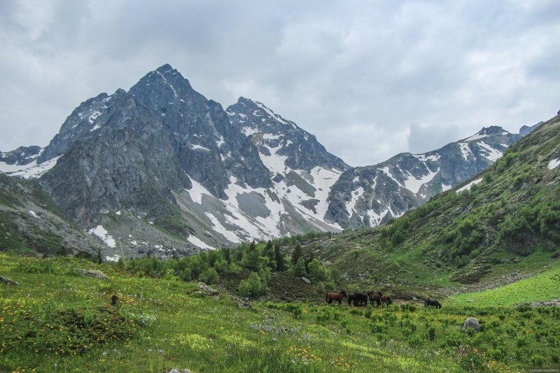 Гора орленок архыз