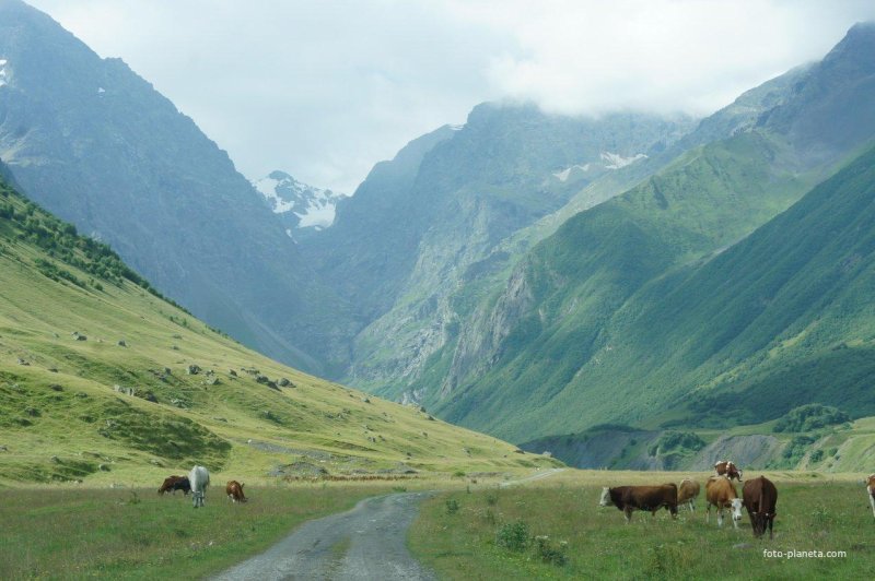 Гора джимара северная осетия